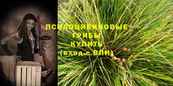 а пвп мука Лиски