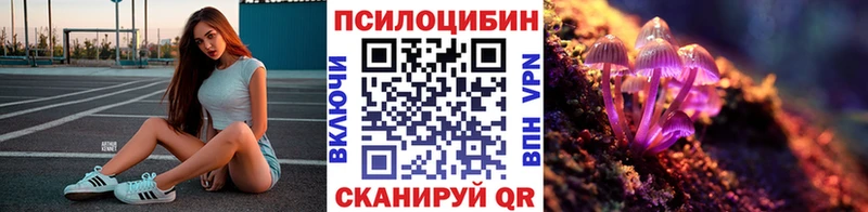 где купить наркоту  Яранск  Галлюциногенные грибы GOLDEN TEACHER 